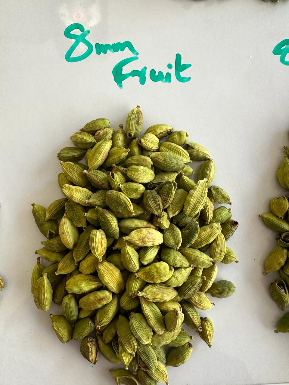 Green cardamom 8MM+ fruit