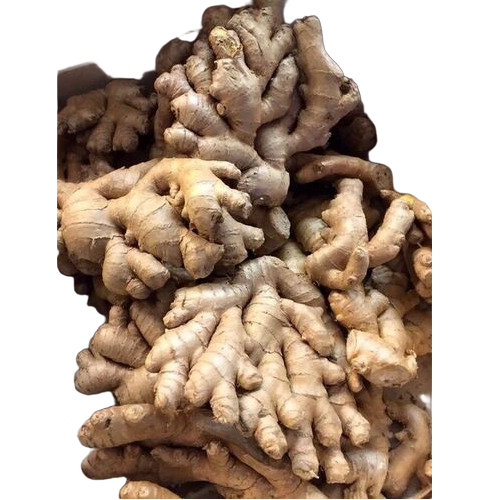 Raw Ginger - Cultivation Type: Traditional