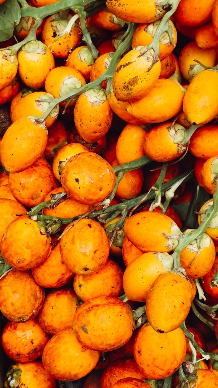 Areca Nut With Husk - Broken (%): 1%