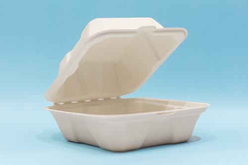 ? 6x6 Inch Bagasse Clamshell Box a Eco-Friendly Disposable Takeaway Container
