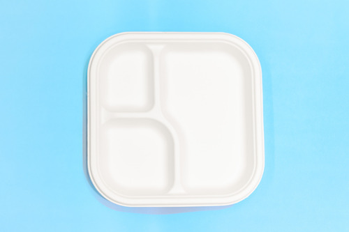 9a  Inch Square Sugarcane Bagasse Plate a   3 Compartments a   Compostable & Ecoa  Friendly