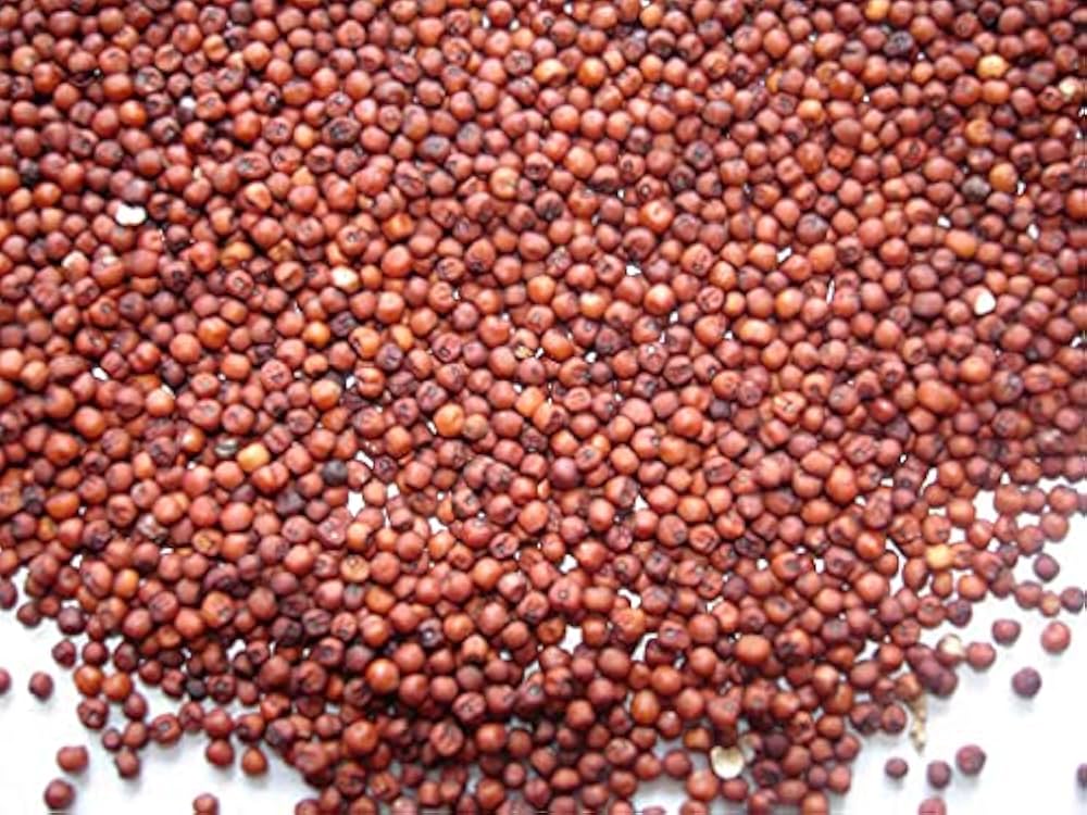Ragi Grain - Carbohydrate: 72.6 Percentage ( % )