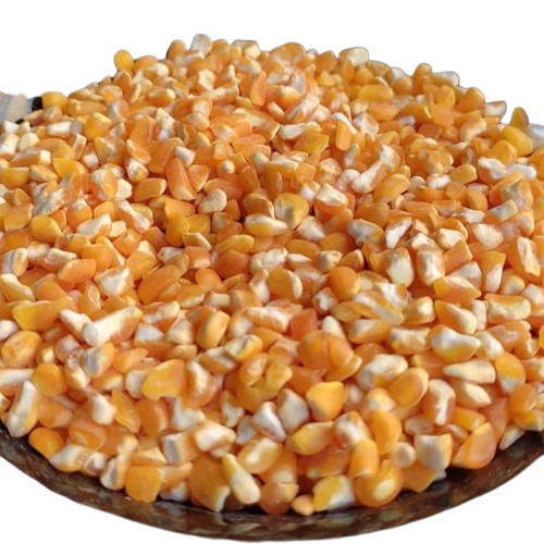 2-3Mm Broken Maize - Color: Yellow/Orange