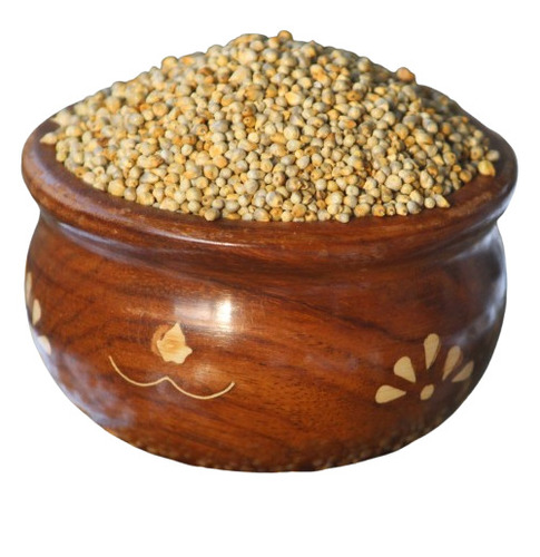 Pearl Millet - Color: Yellow