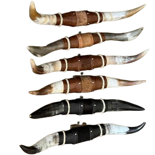 Mounted Steer Horns For Decor