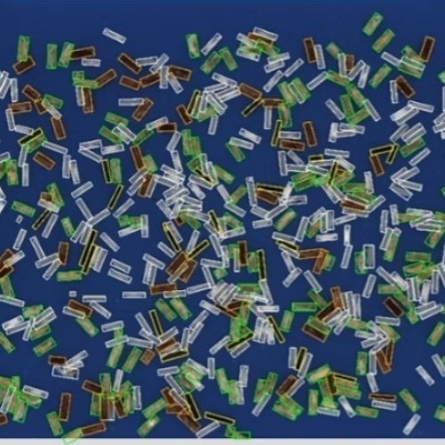 Vibe Basmati Brown Seeds Analyser