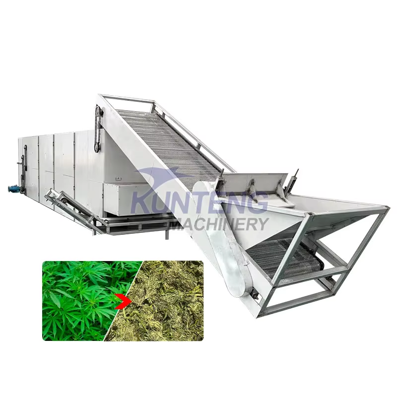 High Capacity Mesh Belt Dryer Machine Leaf Drying Oven Flower Leaves Dehydrator - Feature: Low Noice