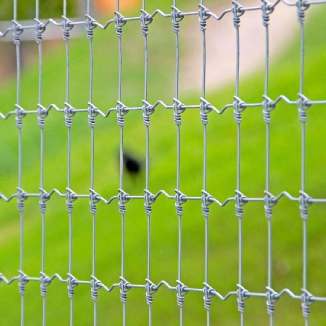 Tata Knotte Fence