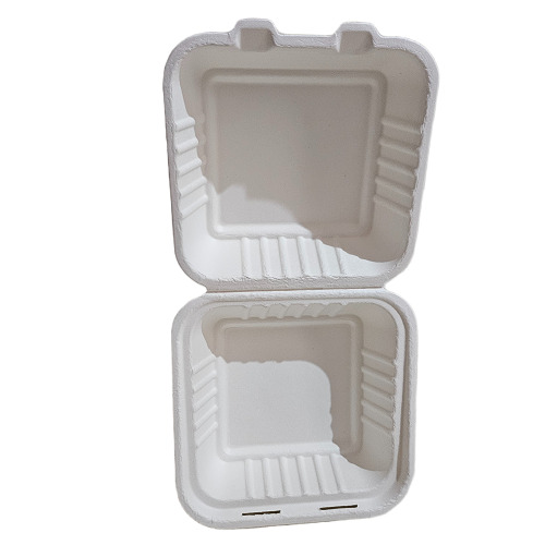 Sugarcane Bagasse Takeaway Clamshell Box - Color: White