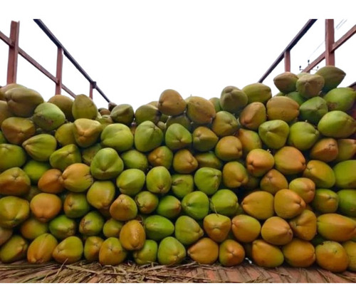Fresh Tender Coconut