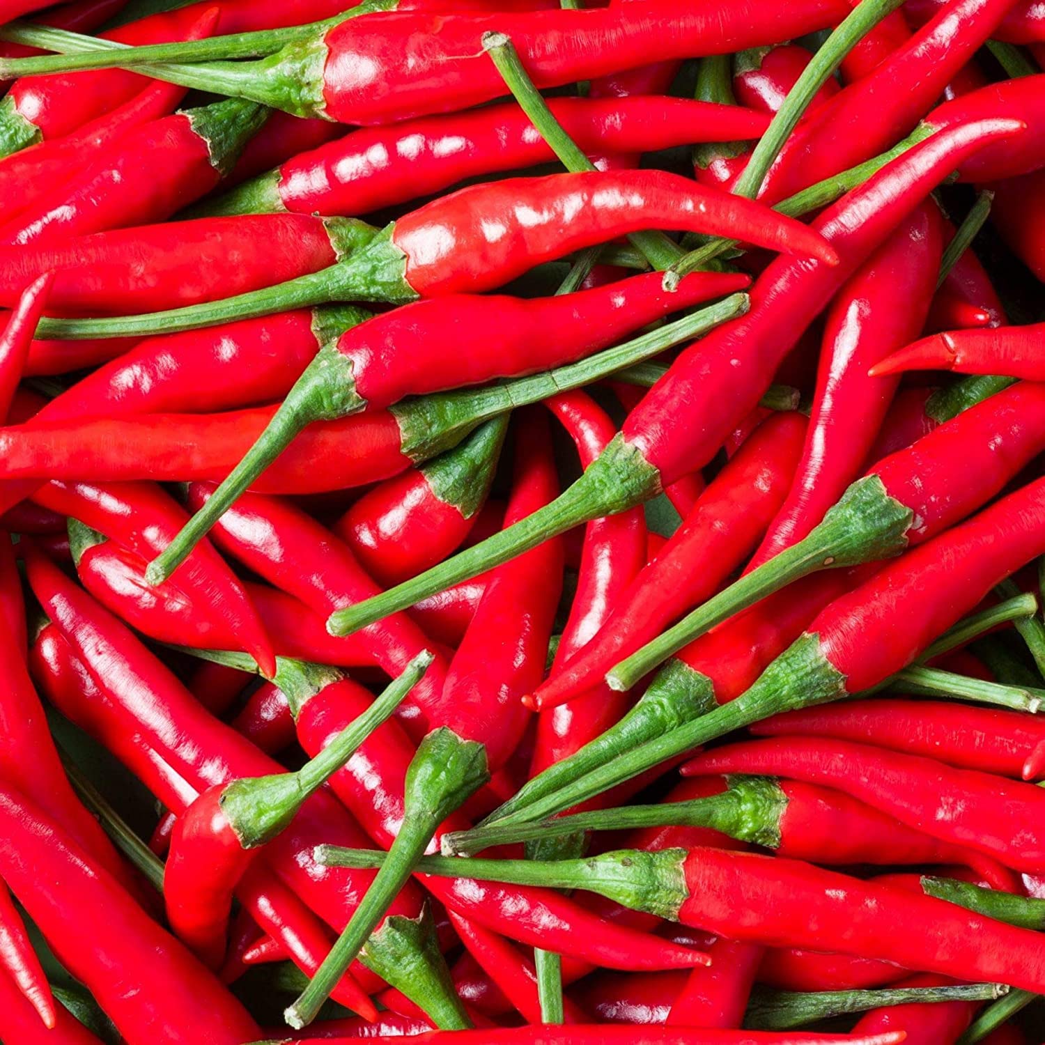 Bird Eye Chilli - Color: Red
