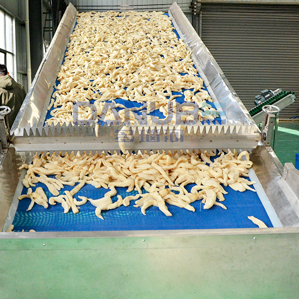White Radish Shredded Mesh Belt Dryer White Radish Slicing and Drying Processing Line