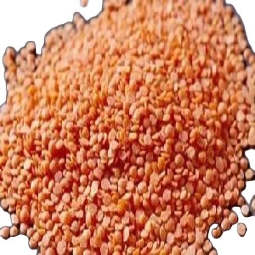 Red Masoor Dal - Cultivation Type: Organic