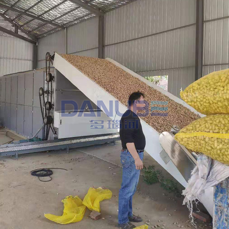 Peanut Mesh Belt Dryer Peanut Cleaning and Drying Equipment Melon Seeds Peanut Nut Drying Machine