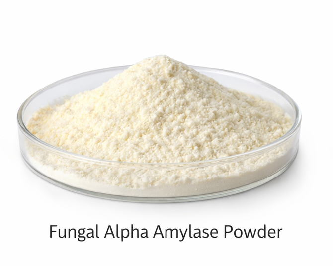 Fungal Alpha Amylase Baking Ezyme
