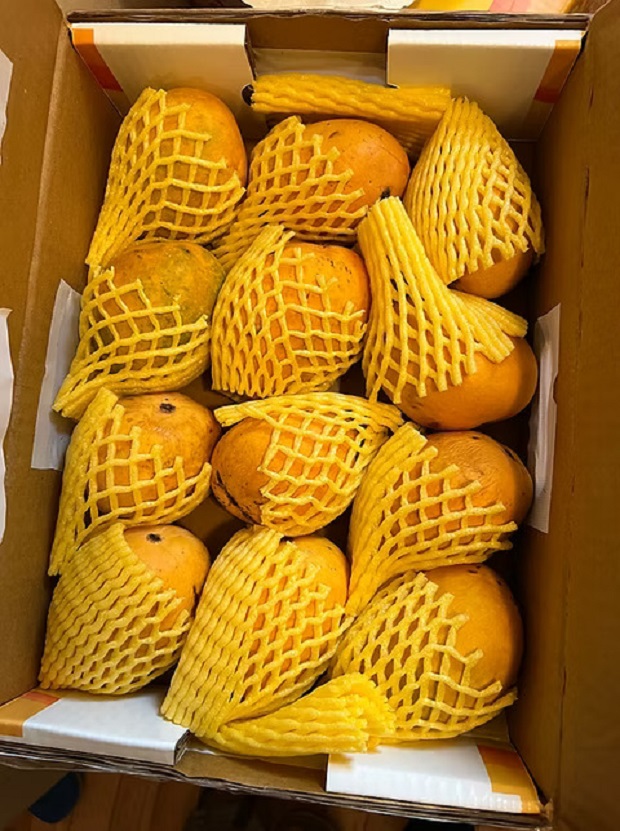 Foam Net For Protecting Fruits & Glass Bottles - Color: Yellow