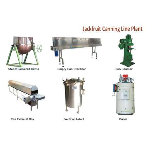 Jackfruit Canning Line Plant