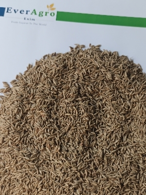 Cumin Seed