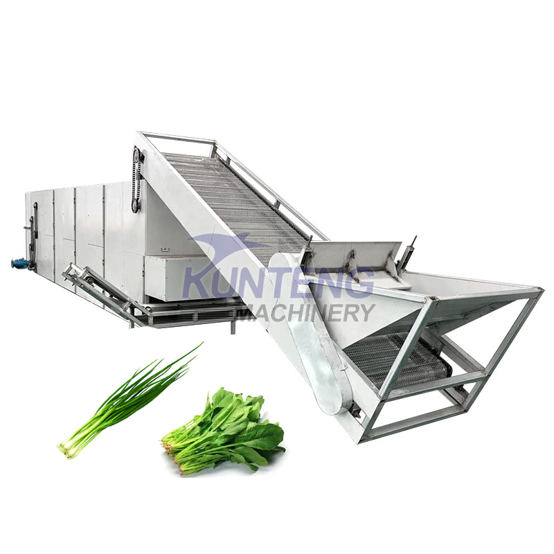 Industrial Vegetable And Fruit Dryer Machine - Color: Customized