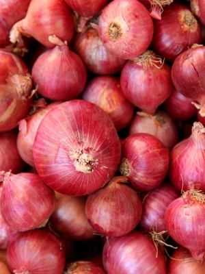 Premium Export Quality Fresh Red Onion - Cultivation Type: Conventional