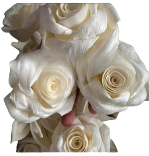 Dry Sola Artificial Flower - Color: Multicolor