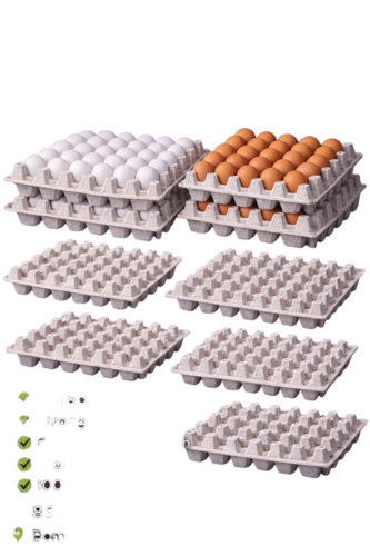 Paper Pulp Based Egg Trays