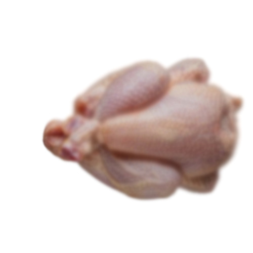Frozen Chicken By Aurora Exports
