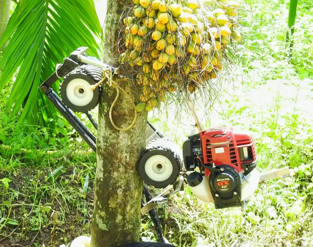 Arecanut Harvesting Bikes - Capacity: 150 Kg
