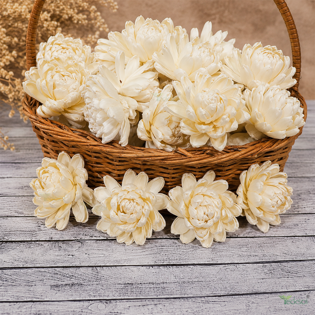Tecksoi Spiral Petal Sola Wood Flower - Color: Natural