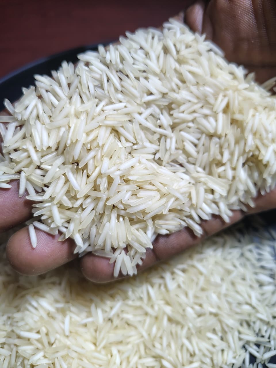 1121 Steam Basmati Rice - Color: White