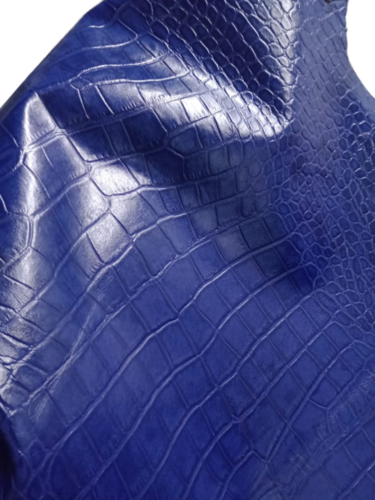 Python Print Embossed Premium Genuine Leather - Color: Blue