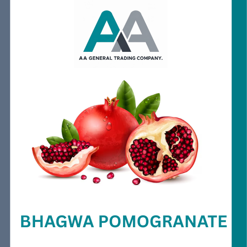 Bhagwa Pomogranate - Color: Red Ruby