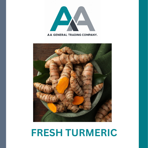 Fresh Turmeric - Color: Yellow Brown