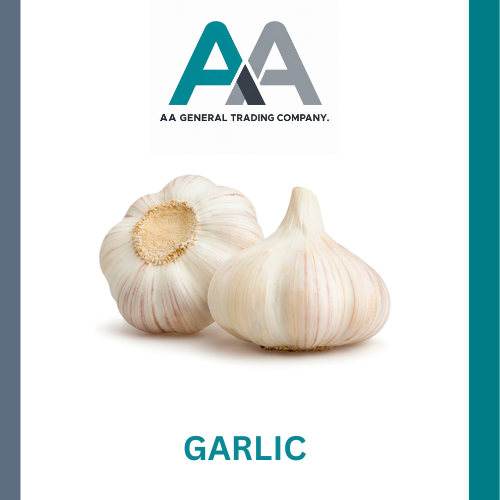 Premium Garlic - Cultivation Type: Common
