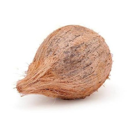 Fresh Coconut - Color: Brown