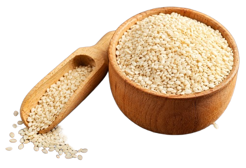 Sesame Seed