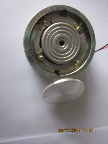 Resonant Module And Vibration Speaker