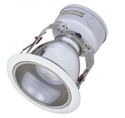 Durable Compact Design Work Downlight