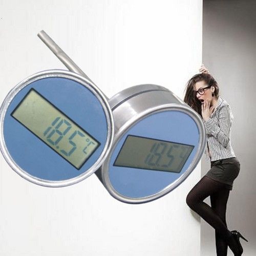 Digital Thermometer With Stem