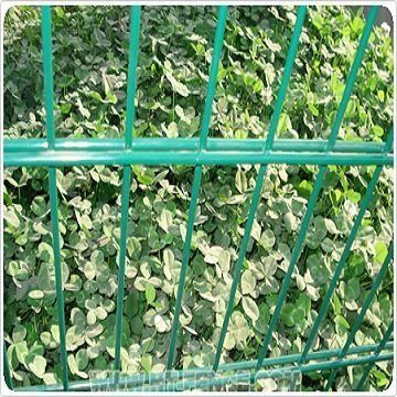 Double Wire Mesh Fence