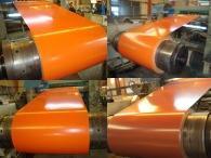 Prepainted Galvanized Steel Coil