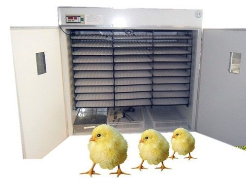 Super Poultry Egg Incubator