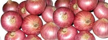 Fresh Onions