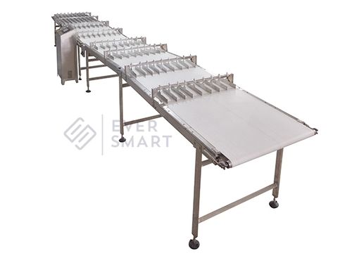 Biscuits Automatic Handling Lines