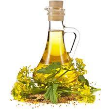 Fennel Seed Oil