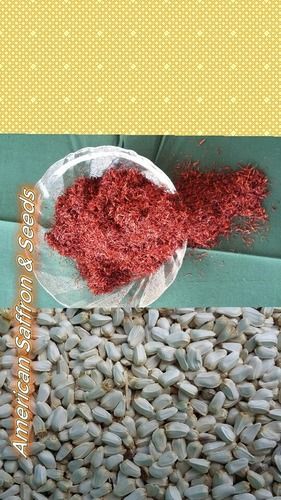 American Saffron And Seeds