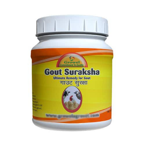 Gout Suraksha Gout Medicine for Poultry