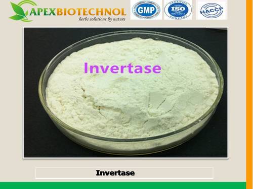 Invertase Enzymes