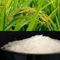 Pr 11 सफेद चावल