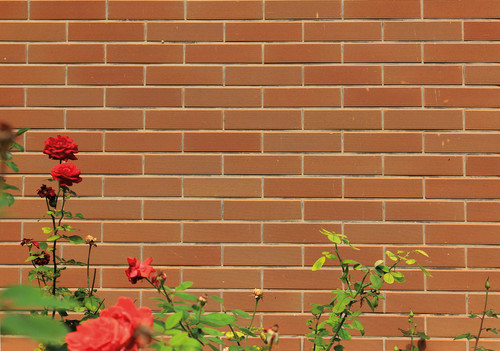 Browns / Tans Brick Tile For Wall